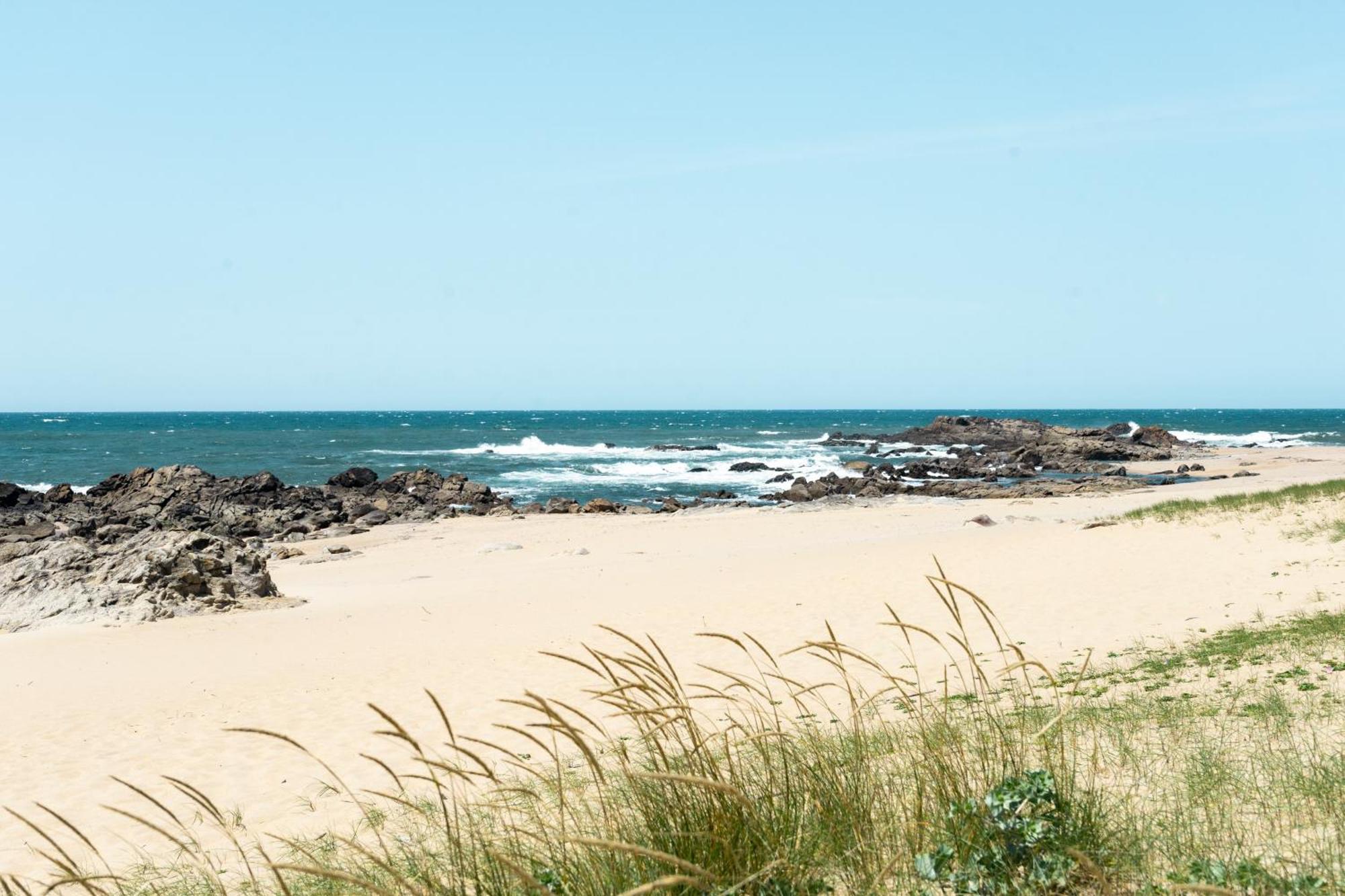 Oporto City And Beach Apartment ラーヴラ エクステリア 写真